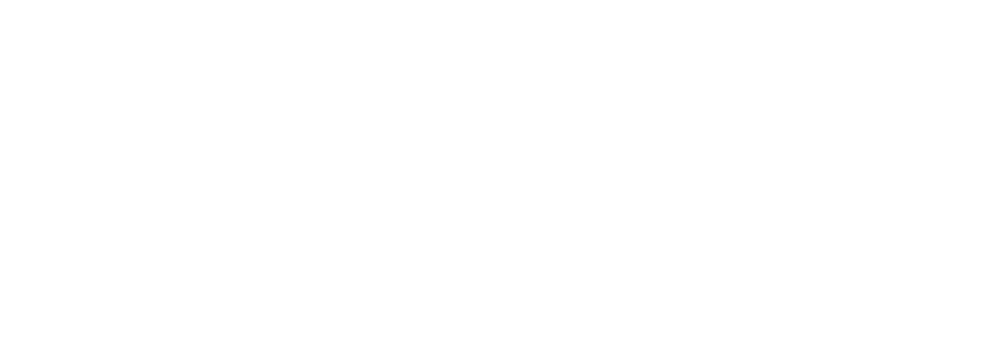 Dizlogic-Logo-WHITE-01