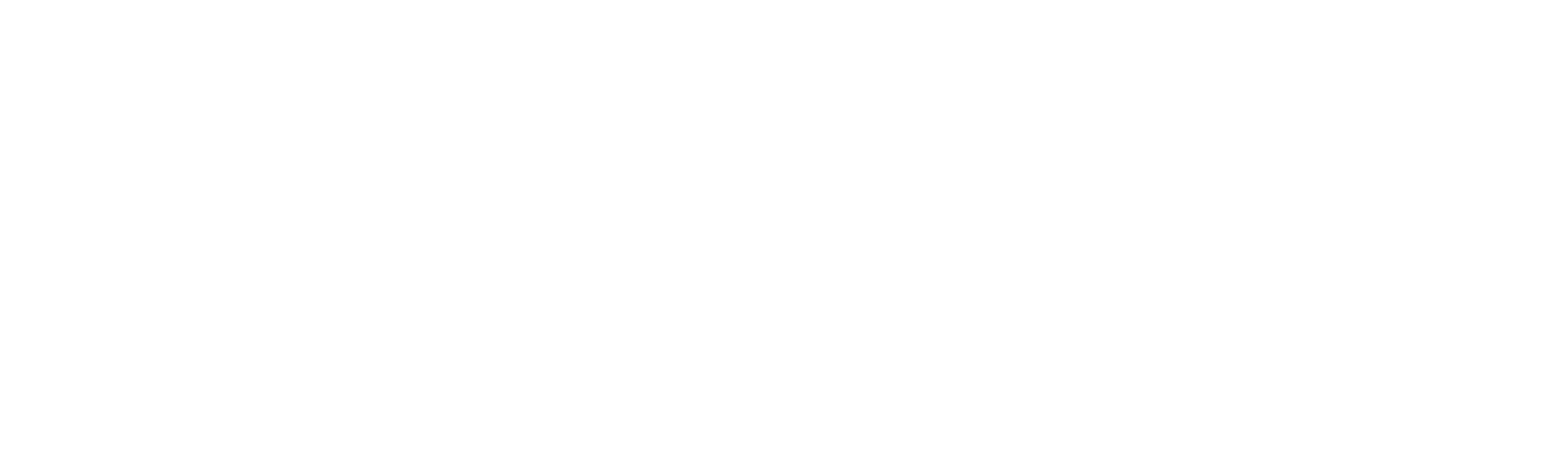 DIZPOT_LOGO_WHITE